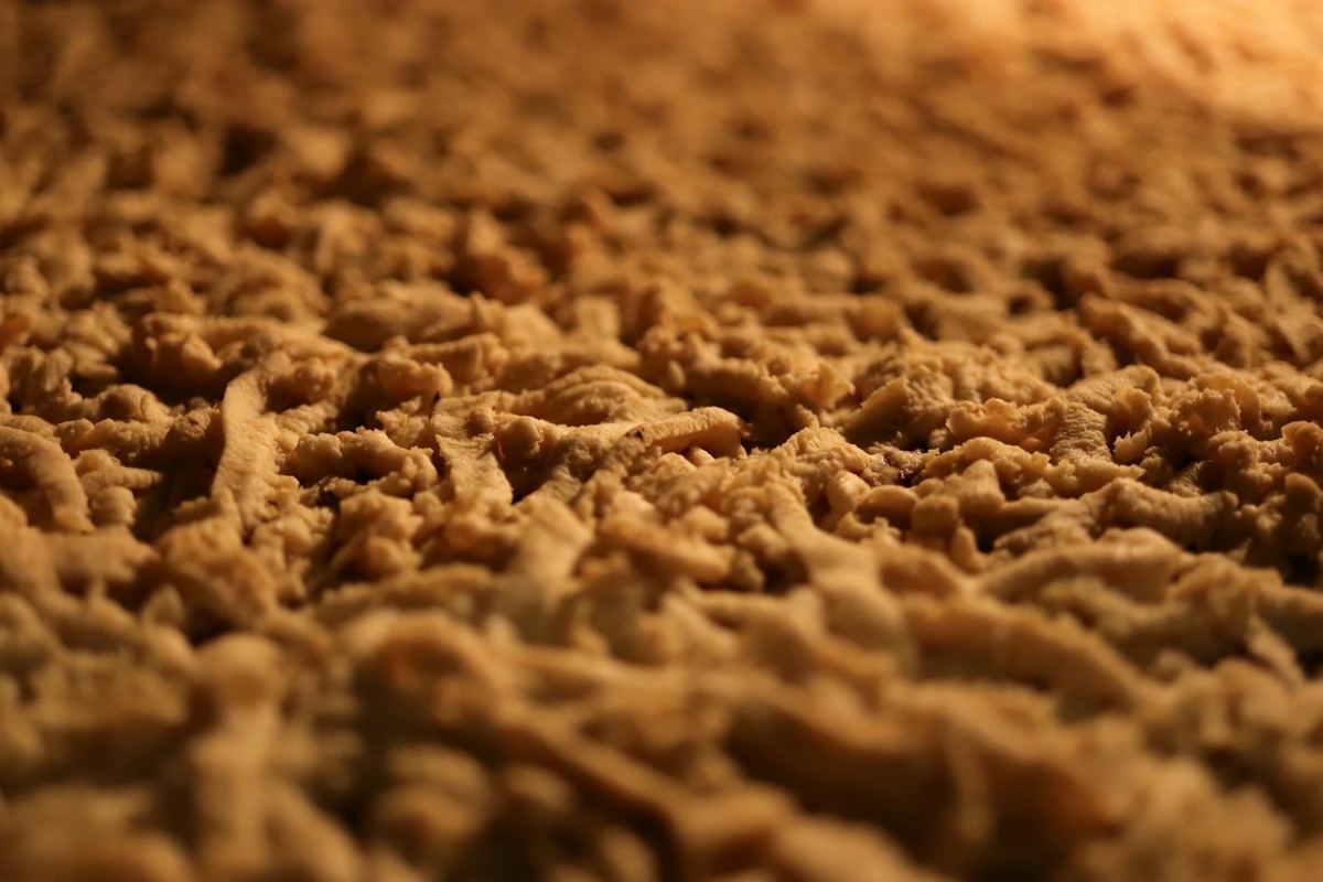 Carpet cleaning