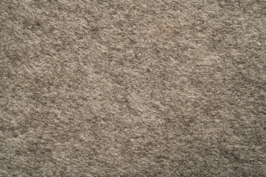Carpet Cleaning Calgary