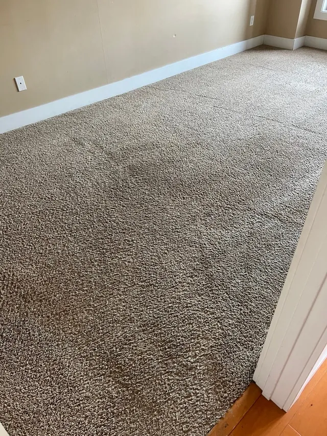 Dirty Carpet — After